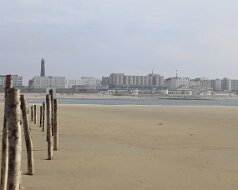 Borkum 2016