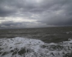 Borkum 2017