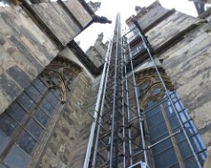 Cologne