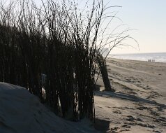 Oostende