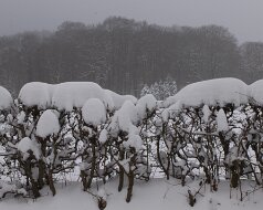 Weihn8 2010