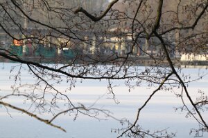 IMG_1986