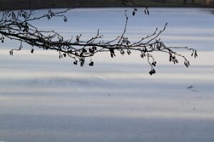 IMG_1990