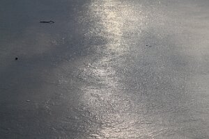 IMG_1995