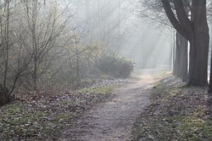 IMG_2002
