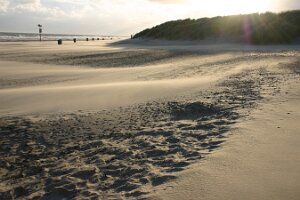 Renesse 2006 019