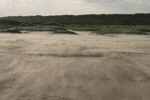 Renesse 2006 023