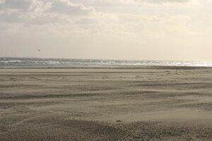 Renesse 2006 027