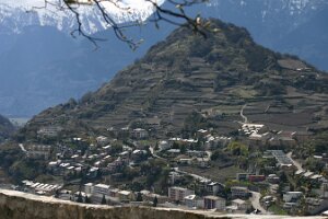 IMG_1365
