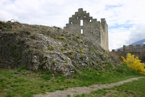 IMG_1420