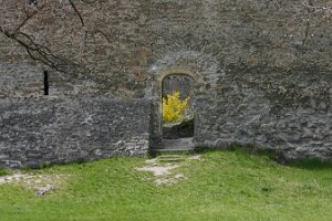 IMG_1425