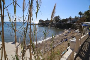 IMG_4018