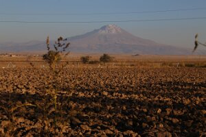 IMG_4067