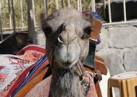 IMG_4140