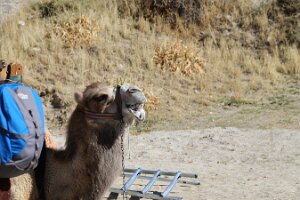 IMG_4141